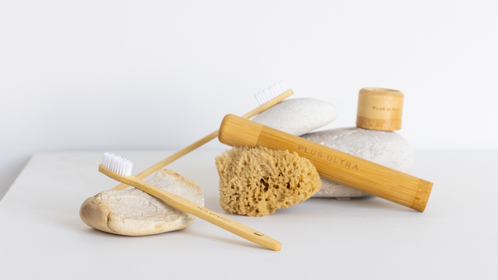 Nylon Bristles