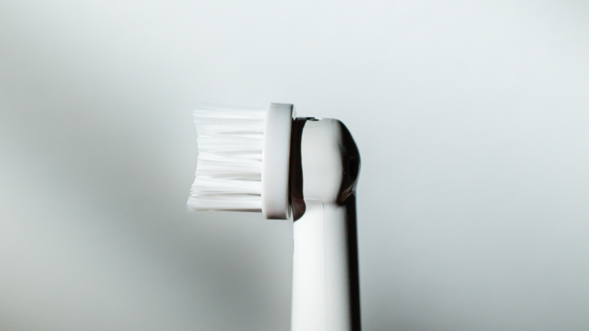 Introducing the Oral B Replacement Toothbrush Head From Plus Ultra