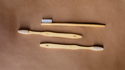 Why You Should Switch To A Bamboo Toothbrush